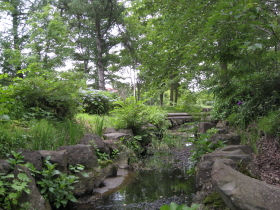 ハナショウブ:菊ヶ丘水郷公園花菖蒲*2010.07.06(五所川原市)_b0147224_21561645.jpg