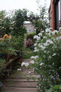f0170524_131058.jpg