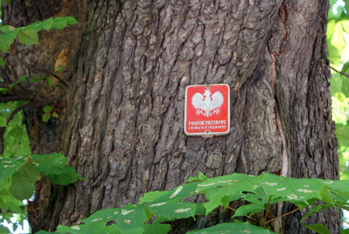 c0184125_5315785.jpg