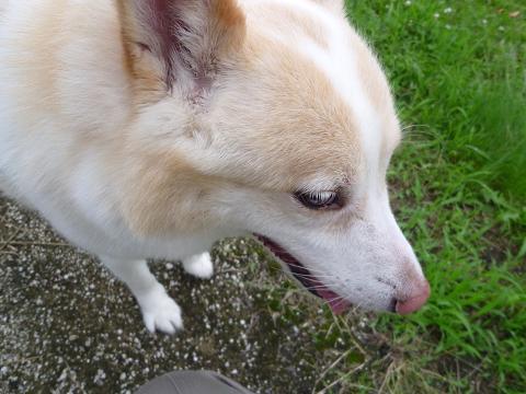 b0138430_20122798.jpg