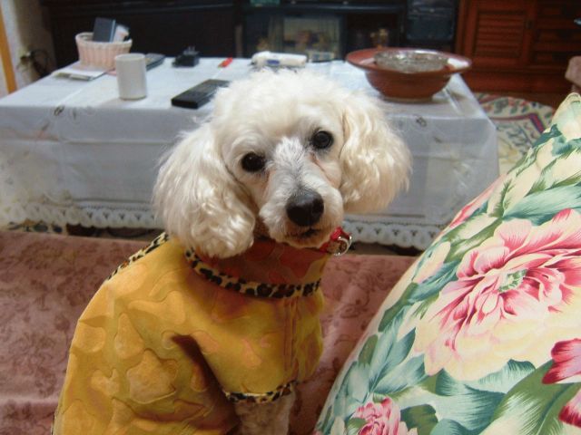 c0141933_1255793.jpg