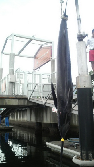 f0009039_956366.jpg