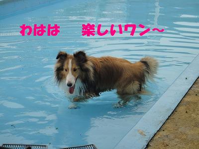 水上温泉旅行・1日目前半♪_e0195743_11371120.jpg