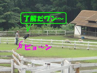 水上温泉旅行・1日目後半♪_e0195743_12304740.jpg