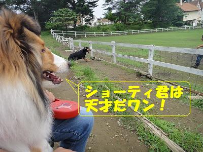 水上温泉旅行・1日目後半♪_e0195743_12331533.jpg