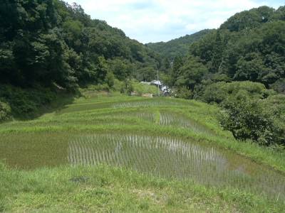 里山の話＜梅雨の晴れ間＞_f0002248_19482429.jpg