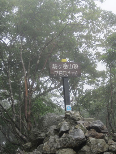 f0007956_14425265.jpg