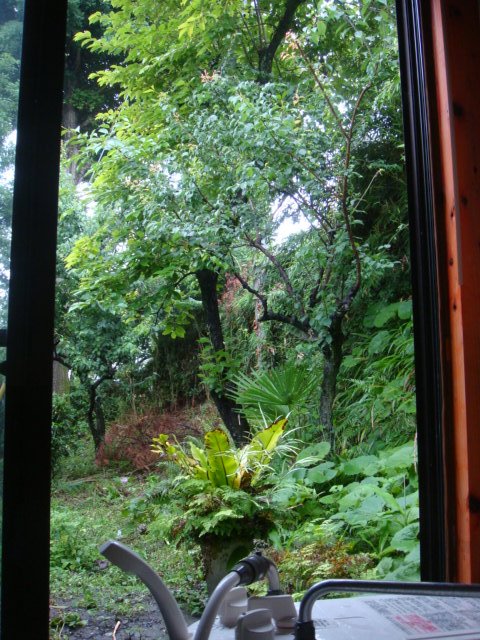 c0074157_21425484.jpg