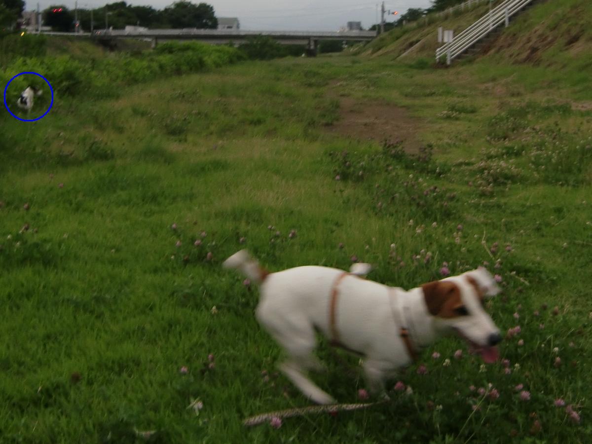 c0140260_21141036.jpg