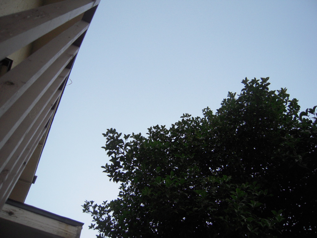 d0076864_19271647.jpg
