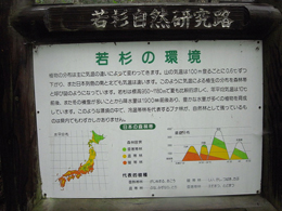 西粟倉物語第二部：西粟倉は若杉ワールドの巻_b0068169_931834.jpg