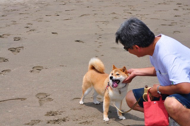 潮騒の音が聞こえる_a0126590_23422533.jpg