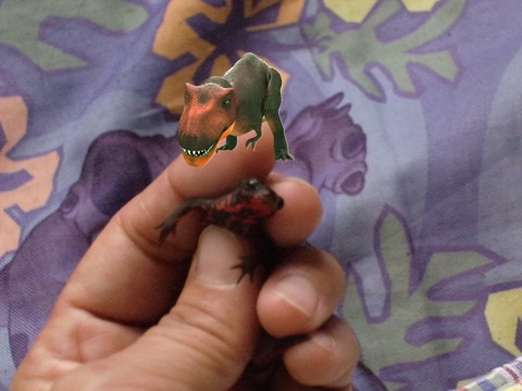 e0137390_13172093.jpg