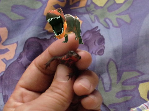 e0137390_13174612.jpg