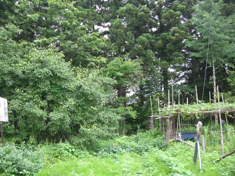 a0138198_9252772.jpg
