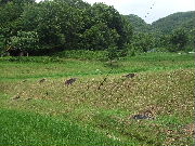 f0188408_1432149.jpg