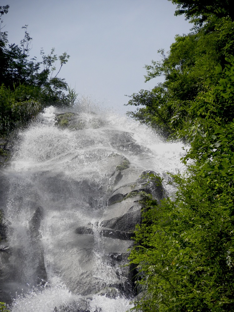 c0078410_2146148.jpg