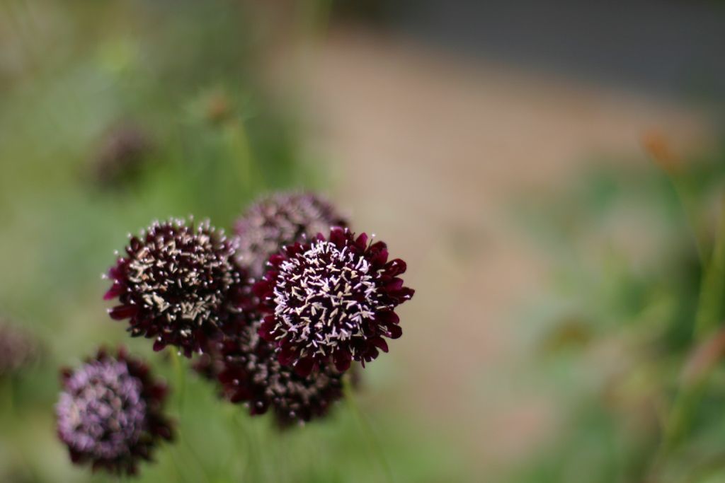 b0145314_13384233.jpg