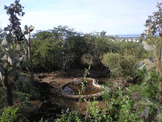 f0135018_834341.jpg
