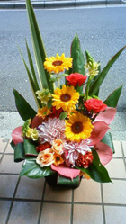 a0077625_2250640.jpg