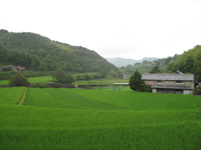 c0117028_0251034.jpg