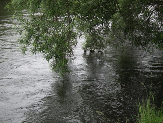 c0185132_15445997.jpg
