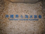 沖縄 2_e0187233_1259208.jpg
