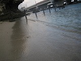 沖縄 2_e0187233_18504754.jpg