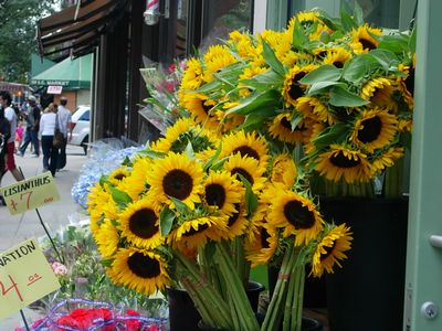 f0200433_858363.jpg
