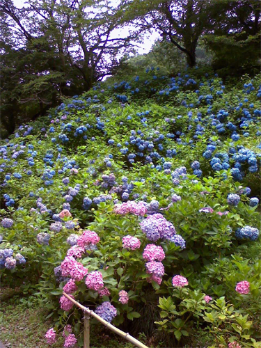 c0090147_0174981.jpg