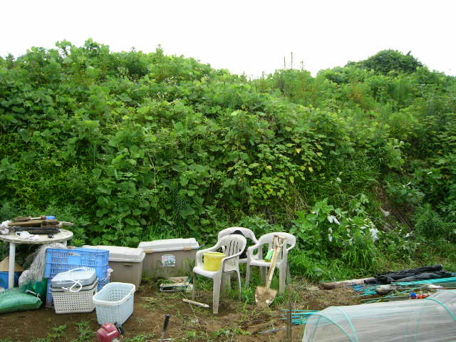 c0222448_922053.jpg