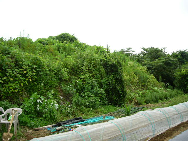 c0222448_924012.jpg