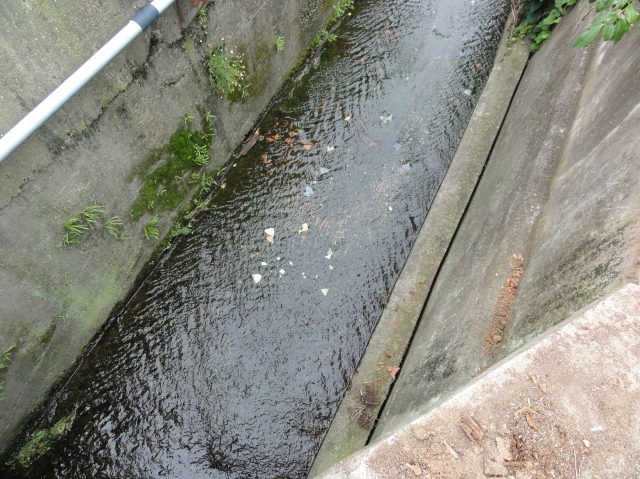 c0108460_14271050.jpg