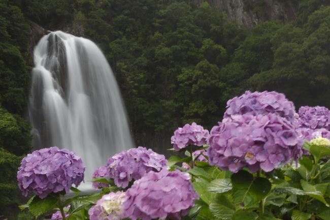 2010.06.26　飛雪の滝～風伝峠_e0184961_1533573.jpg