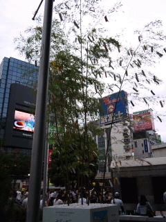 渋谷到着_d0109373_18215679.jpg