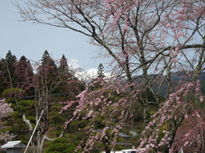 c0128774_1421352.jpg