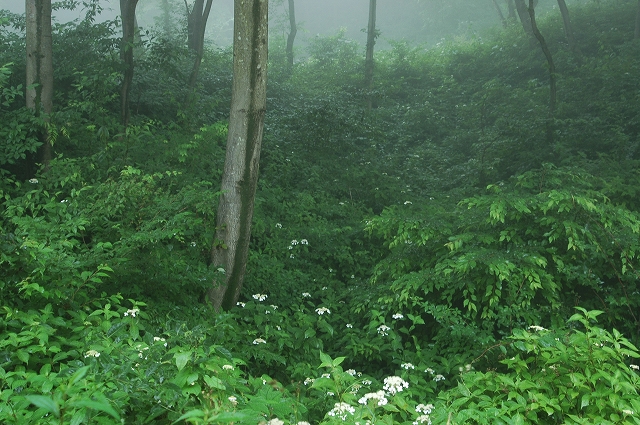 c0212083_17474921.jpg