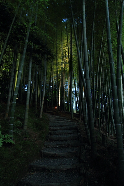 高台寺_e0051888_1134720.jpg