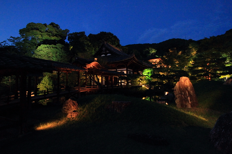 高台寺_e0051888_1164147.jpg