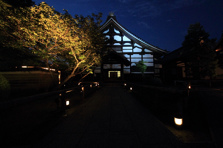 高台寺_e0051888_1181934.jpg