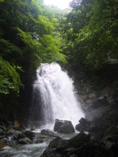 d0090101_1862721.jpg