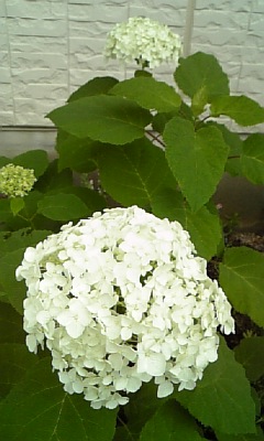 c0186103_161251100.jpg