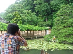 【6/27　20公演目】島根県民会館 大ホール_a0162904_0565132.jpg