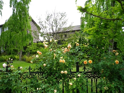 f0065604_22202562.jpg