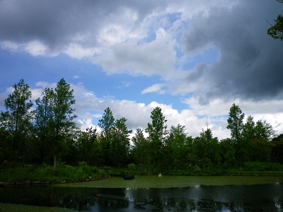 f0065604_22204125.jpg