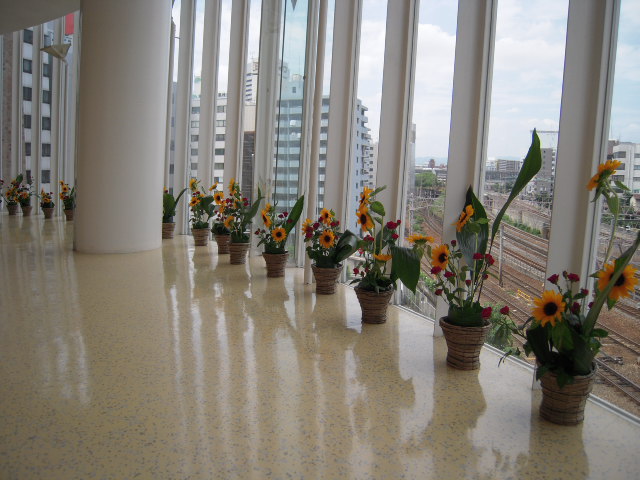 c0168308_15270.jpg