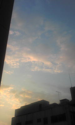 c0180209_042521.jpg