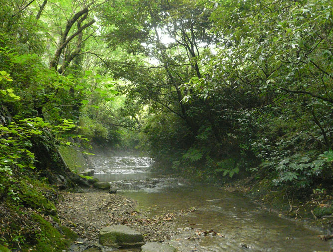 f0201310_192291.jpg
