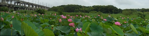 c0223117_23304893.jpg