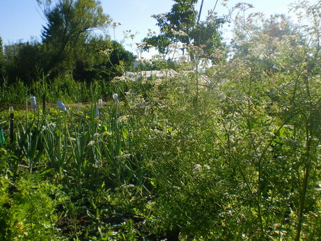 c0124619_749112.jpg